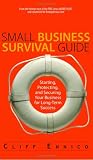 Small Business Survival Guide: Starting, Protecting, And Securing Your Business for Long-Term Success
