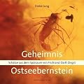 Geheimnis Ostseebernstein: Sch�tze aus dem Sp�lsaum von Fischland-Dar�-Zingst