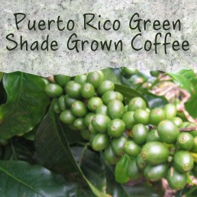 Un-Roasted Puerto Rico Green Coffee Beans - 5LB 