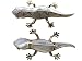 41KFyHBTs7L. SL75  White Mother Of Pearl Gecko Brooch with Diamonds