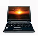 Toshiba Qosmio F55-Q503 15.4 Laptop (2.53 GHz Intel Core 2 Duo T9400 Processor, 4 GB RAM, 320 GB Hard Drive, DVD Drive, Vista Premium) Vibe
