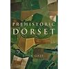 Prehistoric Dorset