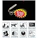 Miracle Beam Laser Pet Toy