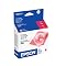 Epson Stylus Photo R1800 Supplies: INK CARTRIDGES