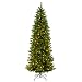Siberian Spruce Pre-Lit Tree - Clear (6.5')