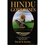 Hindu Goddesses: Visions of the Divine Feminine in&hellip by David R. Kinsley