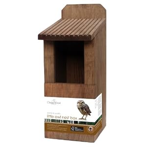 Bird Houses