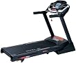 Sole F63 Treadmill (2008 Model)