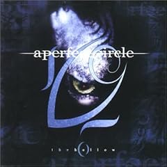 Hollow 2 by  A Perfect Circle 