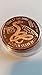 2013 Year of the Snake Copper Medallion