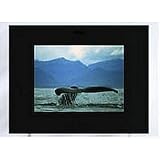 Krystal EC1122 Digital Photo Frame. 7 Framed LCD Display for photo slideshows with MP3 music. Black / Clear Frame