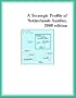 A Strategic Profile of Netherlands Antilles, 2000 edition (Strategic Planning Series)