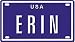 ERIN USA MINI METAL EMBOSSED LICENSE PLATE NAME FOR BIKES, TRICYCLES, WAGONS, KIDS DO...