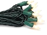 GKI/Bethlehem Lighting Indoor/Outdoor Miniature 50-Light Set, White Frost, Green Wire