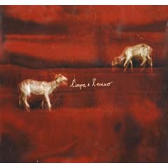 L' Arpa e L'Asino (The Harp and the Donkey)