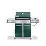 Weber 3747001 Genesis E-310 Propane Grill, Dark Green
