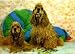 3D Lenticular COOCKER SHEEP DOG - POSTCARD