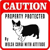CAUTION: WELSH CORGI PROTECTION dog sign