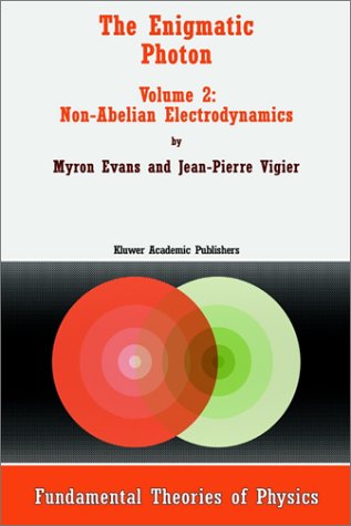 The Enigmatic Photon: Non-Abelian Electrodynamics v. 2 (Fundamental Theories of Physics)