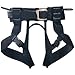 Sporting Goods : Black Diamond Alpine Bod Harness