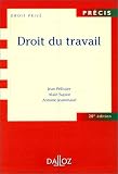 Revue Dalloz  / Droit du travail, 20e édition