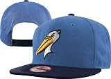 Myrtle Beach Pelicans New Era Minor League Basic Snapback Hat