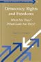 Democracy. Rights and Freedoms (Studies in Theoretical and Applied Ethics)