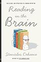 Reading In The Brain