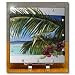 Island Scene Looking Through Window with Hibiscus Flowers and Palm Leaves on Textured Background - 6x6 Desk Clock