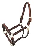 Royal King Raised Leather Halter - Brown - Horse