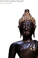 What the Buddha Thought (Oxford Centre for Buddhist Studies Monographs)