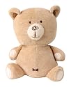 8" teddy bear