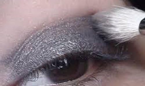 3 Gram Loose Eyeshadow Pigment Eye Lid Powder Daytime Mont Silver Grey Smokey Shimmer