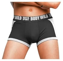 グンゼ BODY WILD RootsSport ボクサーブリーフ BWR080V