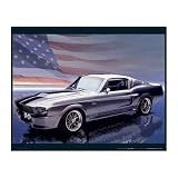 (16x20) Ford Mustang (GT-500, Silver) Art Poster Print