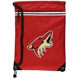 Phoenix Coyotes - Logo Dome Backpack