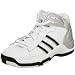 adidas Little Kid/Big Kid Blindside 4 Sneaker