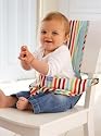 Grobag Chair Harness - Retro Stripe