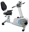 Stamina Elite Total Body Recumbent Bike