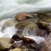 Waterfall - Keith Levit Art Print Poster 37 x 37 - FRAMED