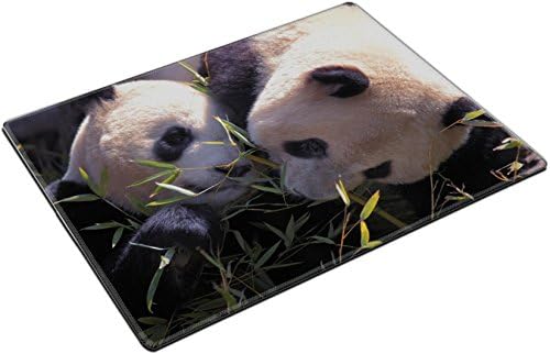 Placemats Picture of a pair of beautiful pandas eating bamboo IMAGE ID 19296178 by Liili Customized Placemats Stain Resistance Collector Kit Kitchen Table Top Desk Drink Customized Stain Resistance Collector Kit Kitchen Table Top Desk