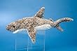 TITUS TIGER SHARK PLUSH TOY 15" L