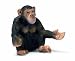 Schleich Female Chimpanzee_s-1