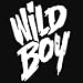 MGK (feat. Waka Flocka) - Wild Boy (lyrics)