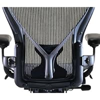 Aeron Chair PostureFit Support Kit by Herman Miller