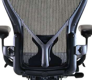 Aeron Chair Posturefit Support