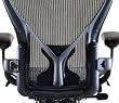 Aeron Chair PostureFit Support Kit by Herman Miller