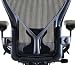 Aeron Chair PostureFit Support Kit by Herman Miller - Official Retailer - Graphite Size B
