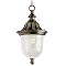 Seeded Glass 1 Light Hanging Lantern– Black Gold