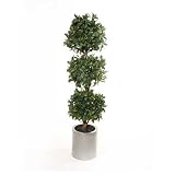 Review i-koncepts Ltd  / 5ft Triple Bay Ball Topiary with Natural Stem - Artificial Plant